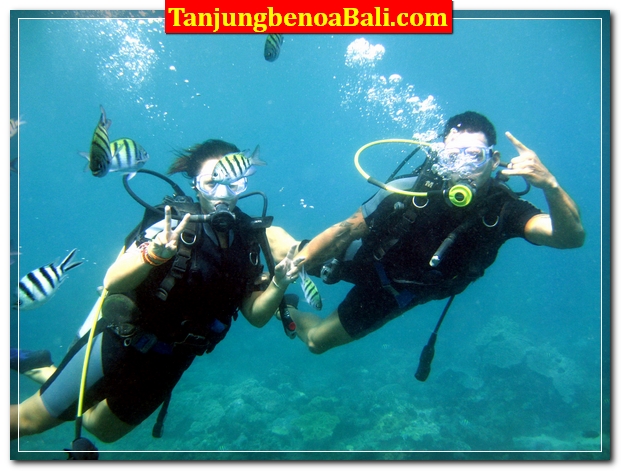 Scuba Diving Tanjung Benoa Bali