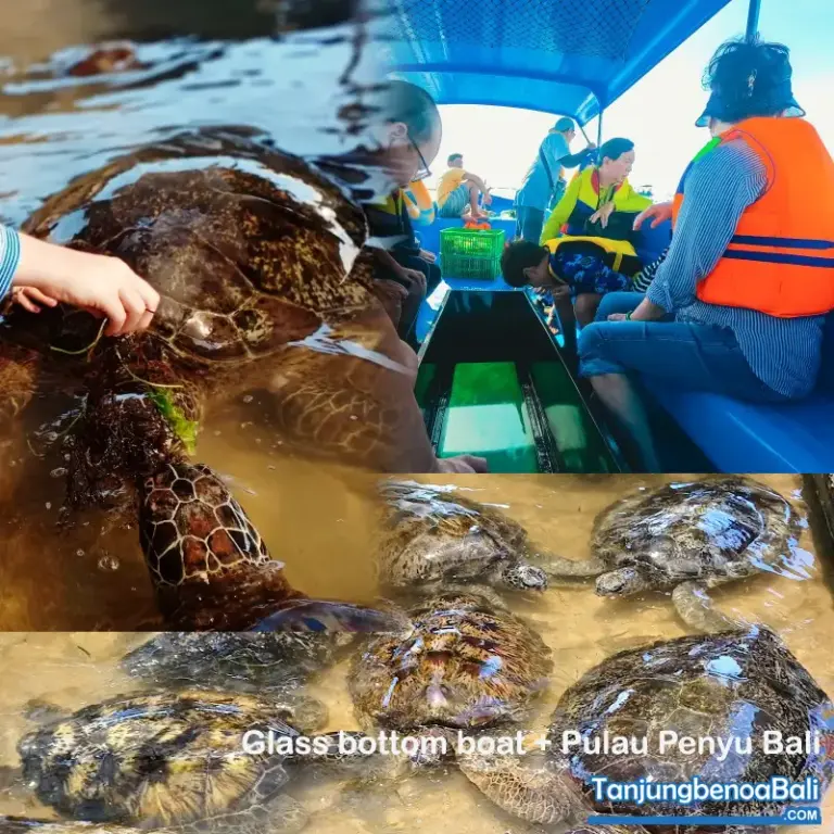 Pulau Penyu Bali
