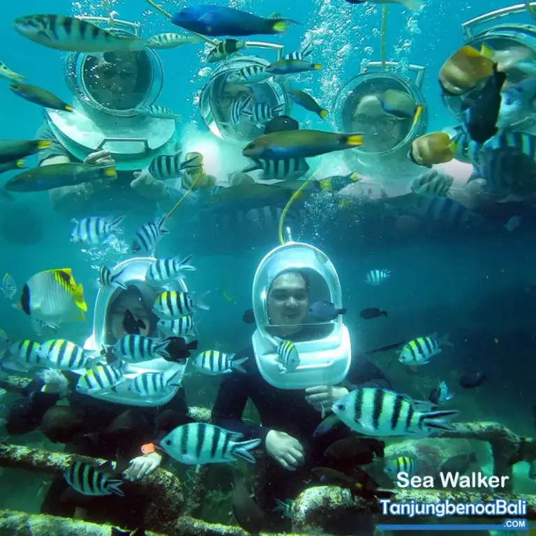 Sea Walker Bali di Tanjung Benoa - Cek Harga Promonya Disini! - Gambar 2
