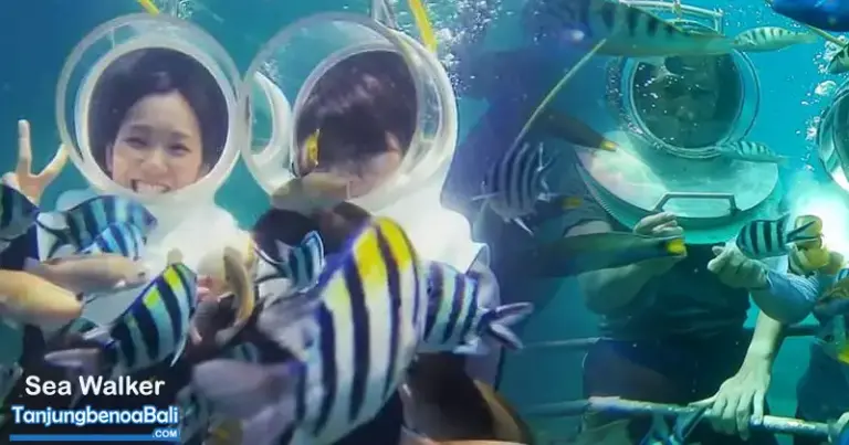 Sea Walker Bali di Tanjung Benoa - Cek Harga Promonya Disini! - Gambar 3